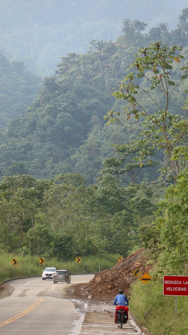 2019-03-30 Quizas Hoy_Corona de Oro-23