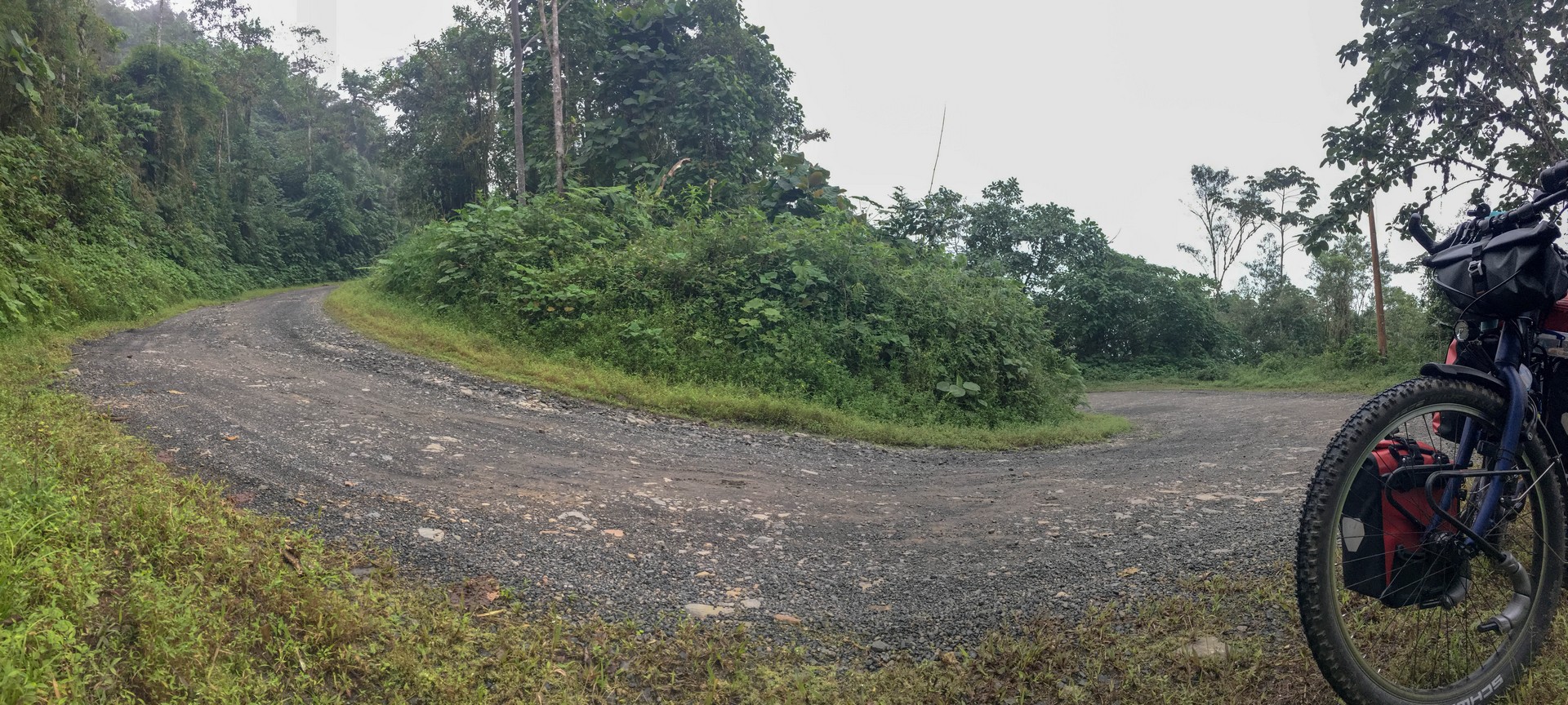 2019-03-30 Quizas Hoy_Corona de Oro-8