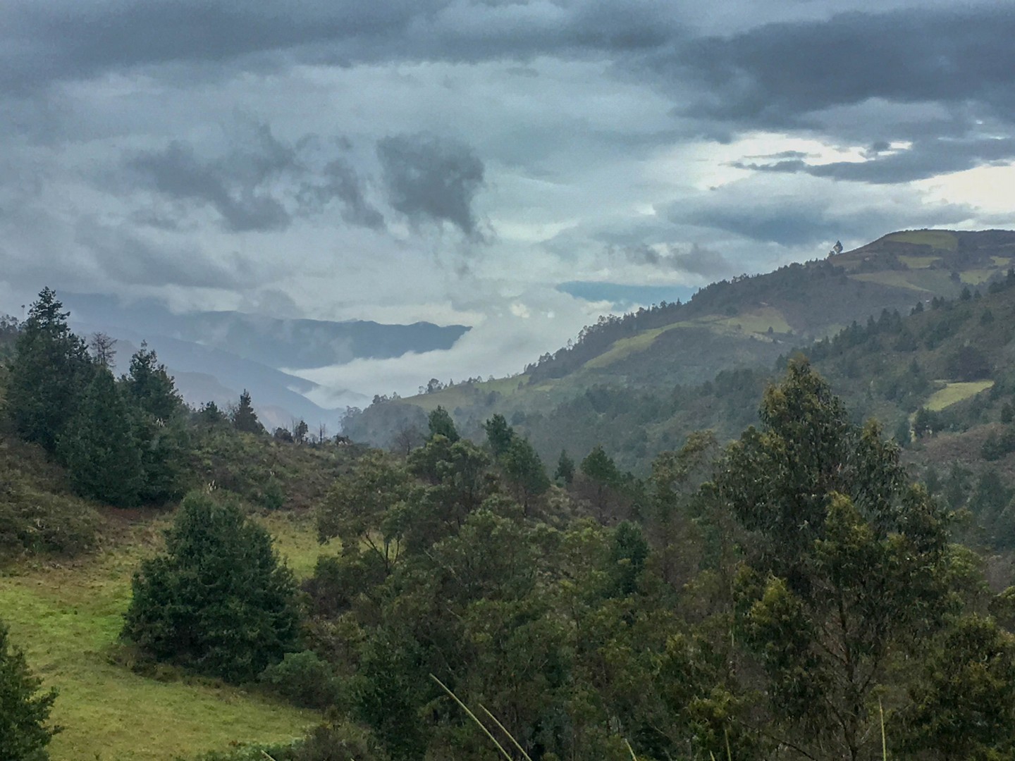 2019-04-07 Ona_Saraguro-101