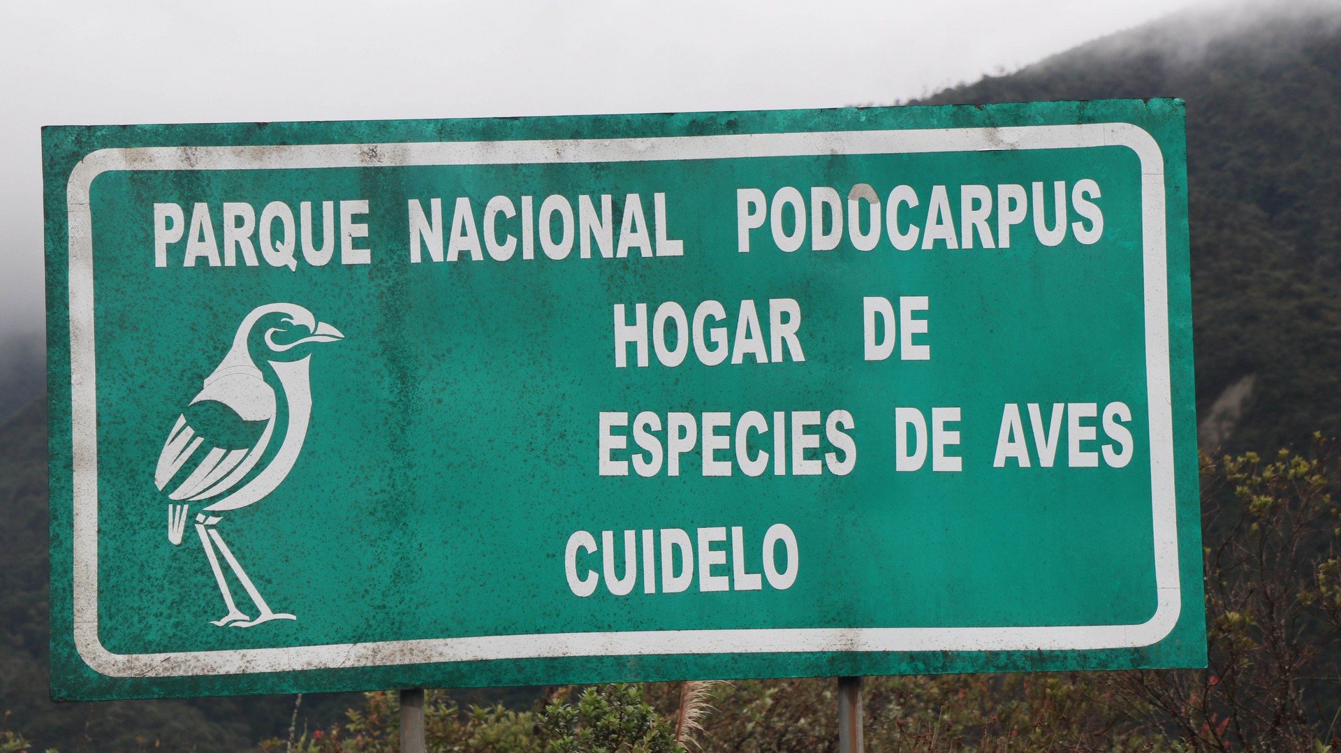 2019-04-12 Wild Camp_Palanda-22