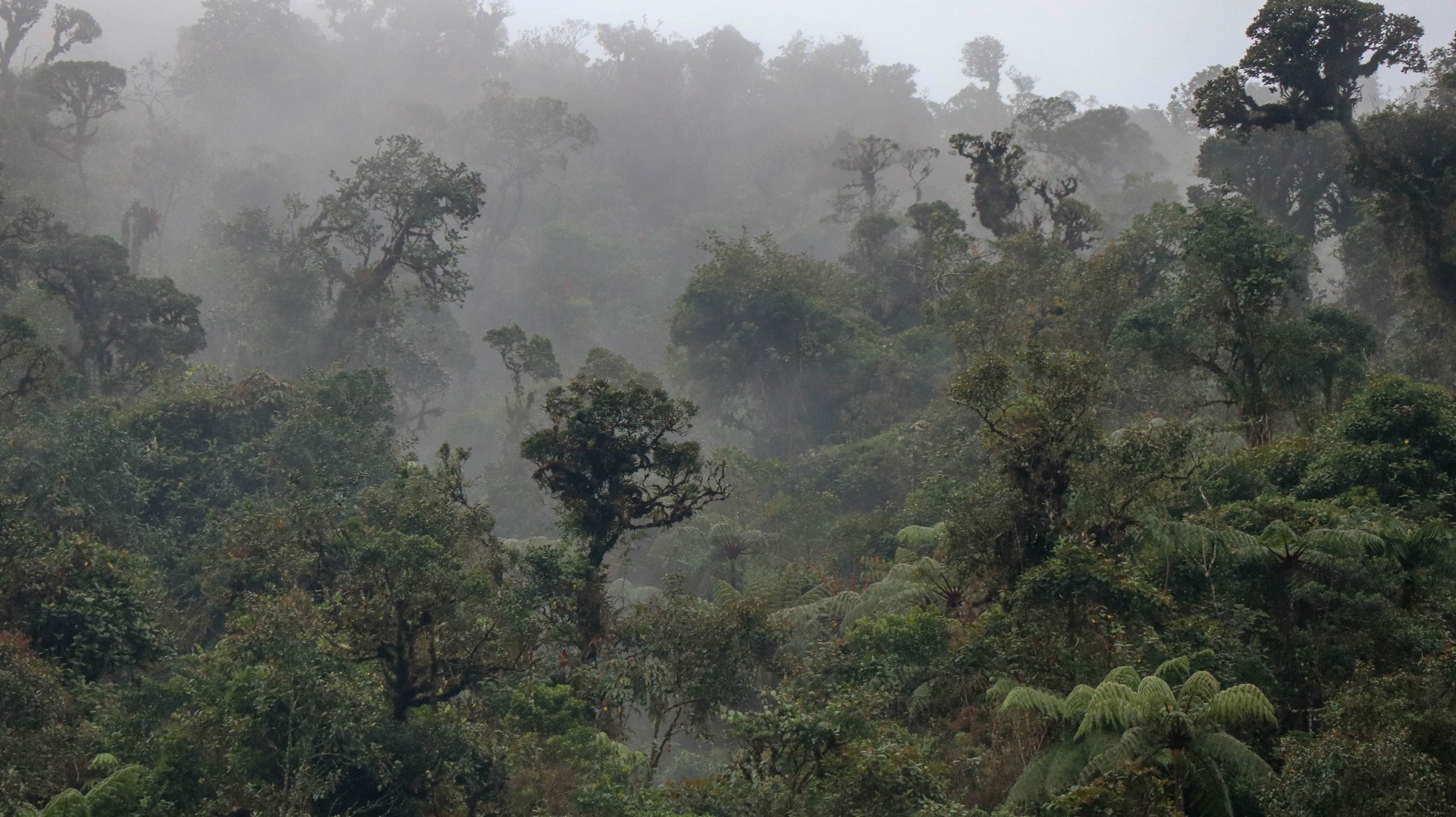 2019-04-12 Wild Camp_Palanda-24