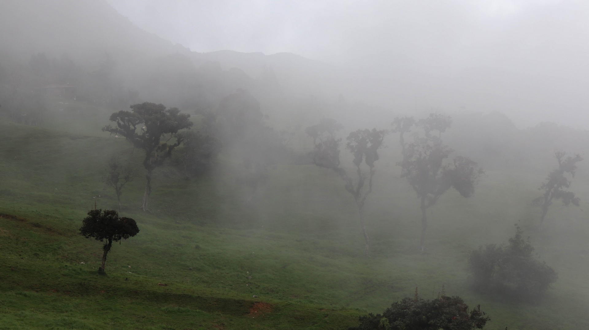 2019-04-19 Cutervo_Chota-69