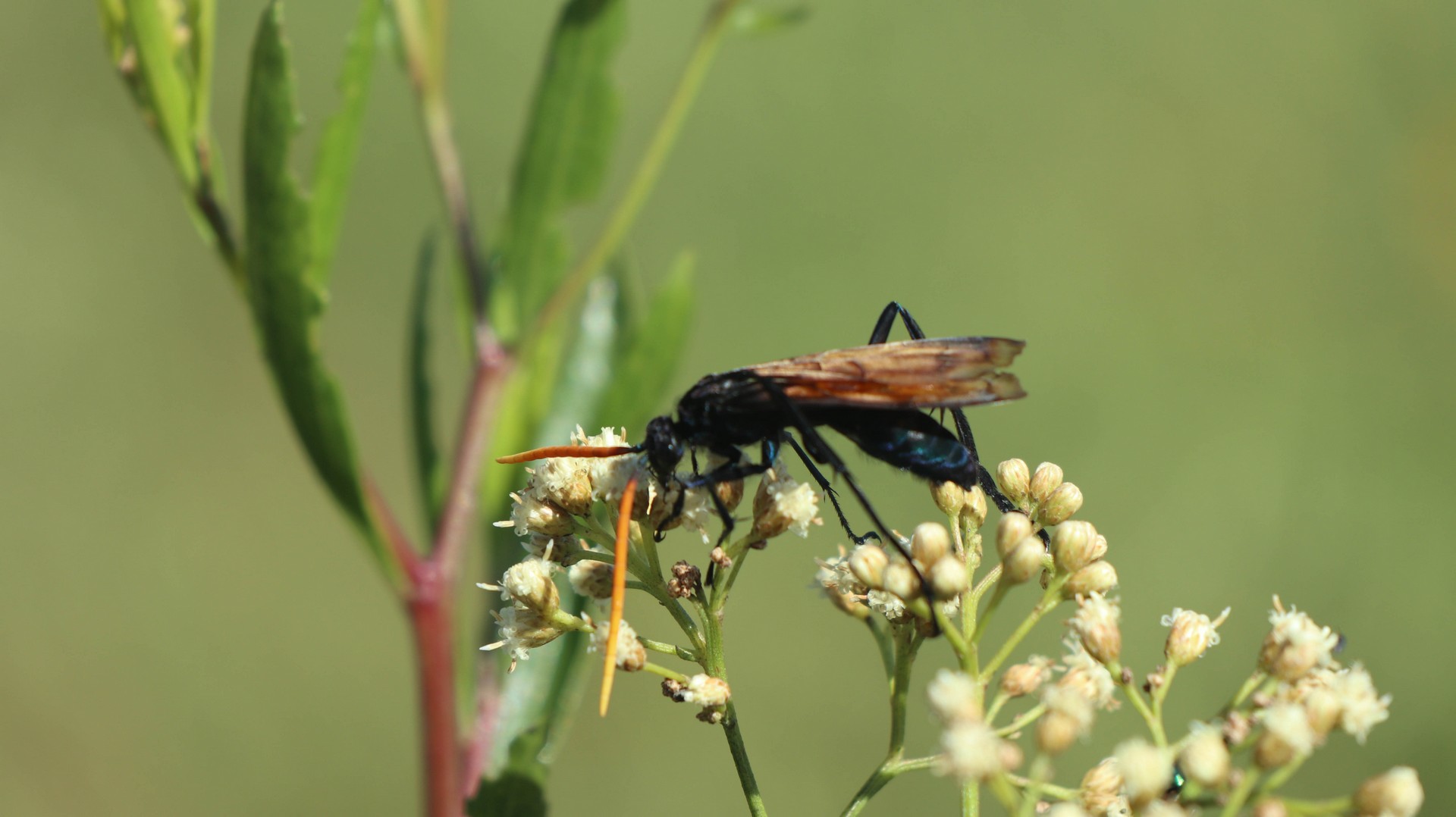 2019-04-26 San Marcos_Cajabamba-5