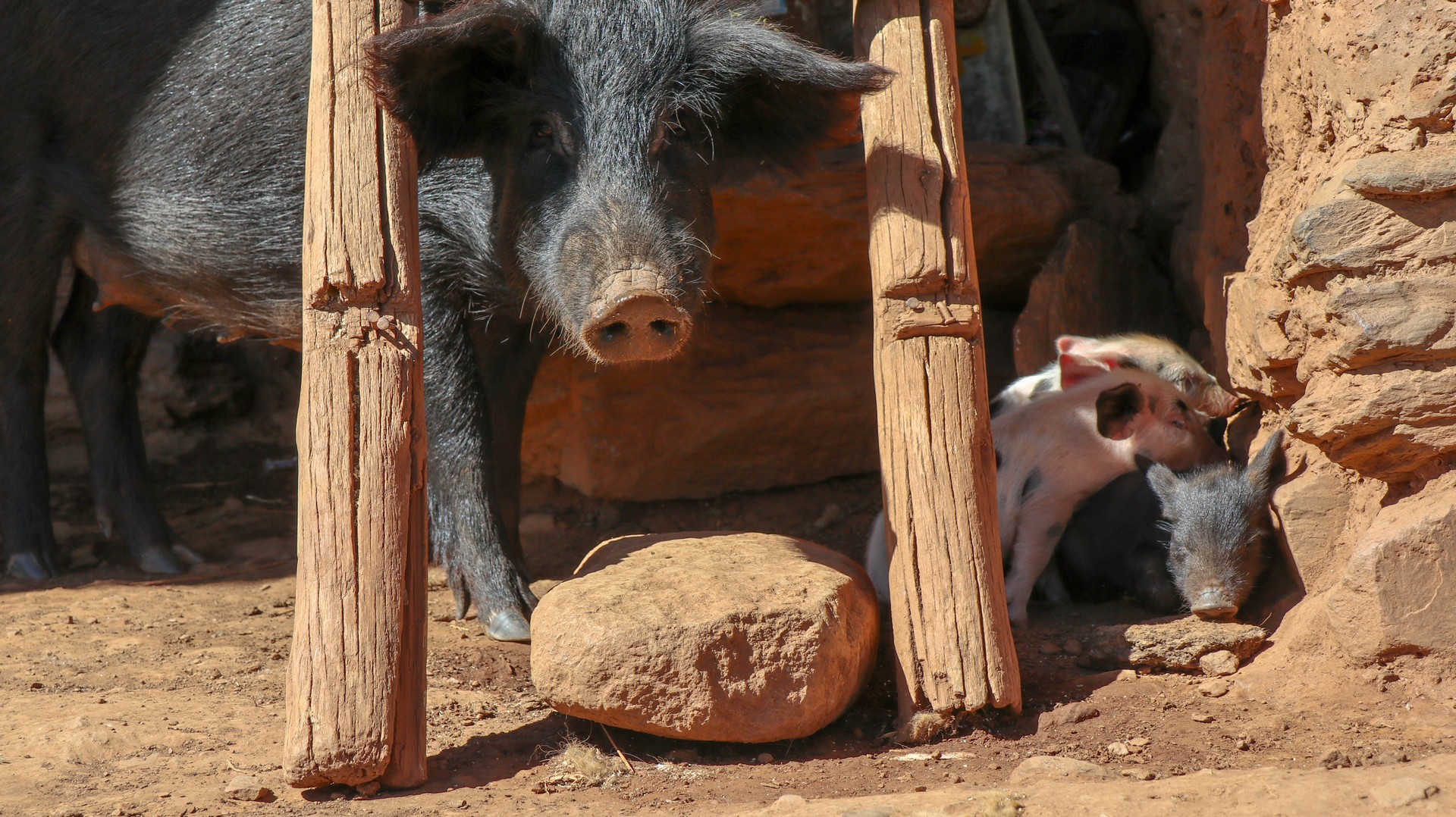 2019-05-07 Yanac_Abra Cahuacona-43